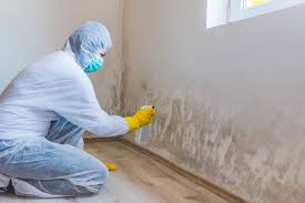 Why You Should Choose Our Mold Remediation Services in Valhalla, NY